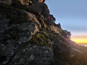 7805001b-50de-4e6f-8430-d57f7d6777b0