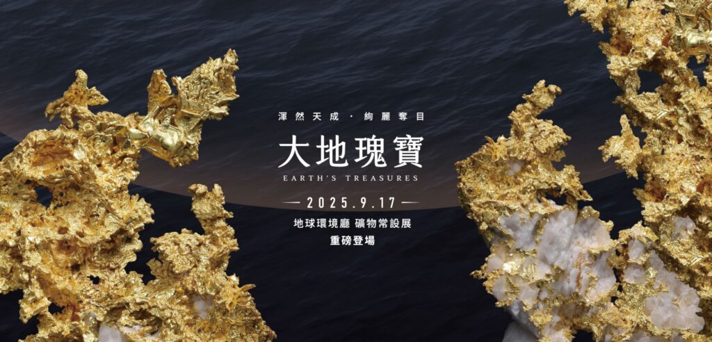 09564503-0738-441f-82c9-f91de0f183d0