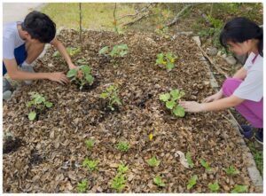 fa684fe4-9aac-46d0-a80e-cefbbb792c16