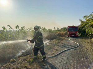 b1a082ac-88b3-44b3-88ee-cd15161802d8