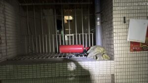 dde011b1-d855-4438-aa05-cc2854ed6ec4