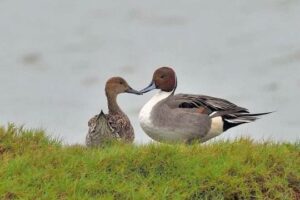 ec015fbe-a6b8-4d6b-87e9-99569d9fd9cb