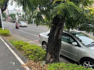 feb8188a-e538-4887-a9e4-4b3d8ba71445