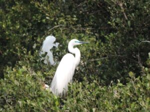 5f806c6d-4544-49ca-8fca-f7b899927abb