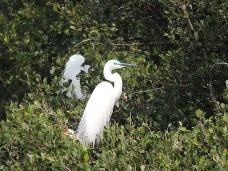 5f806c6d-4544-49ca-8fca-f7b899927abb