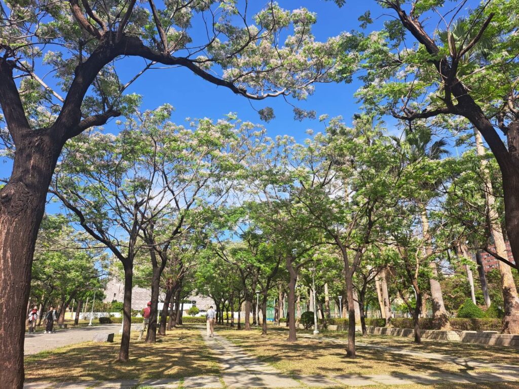 c66dfe84-dc1c-4be2-b7ec-0d17b2ae48de