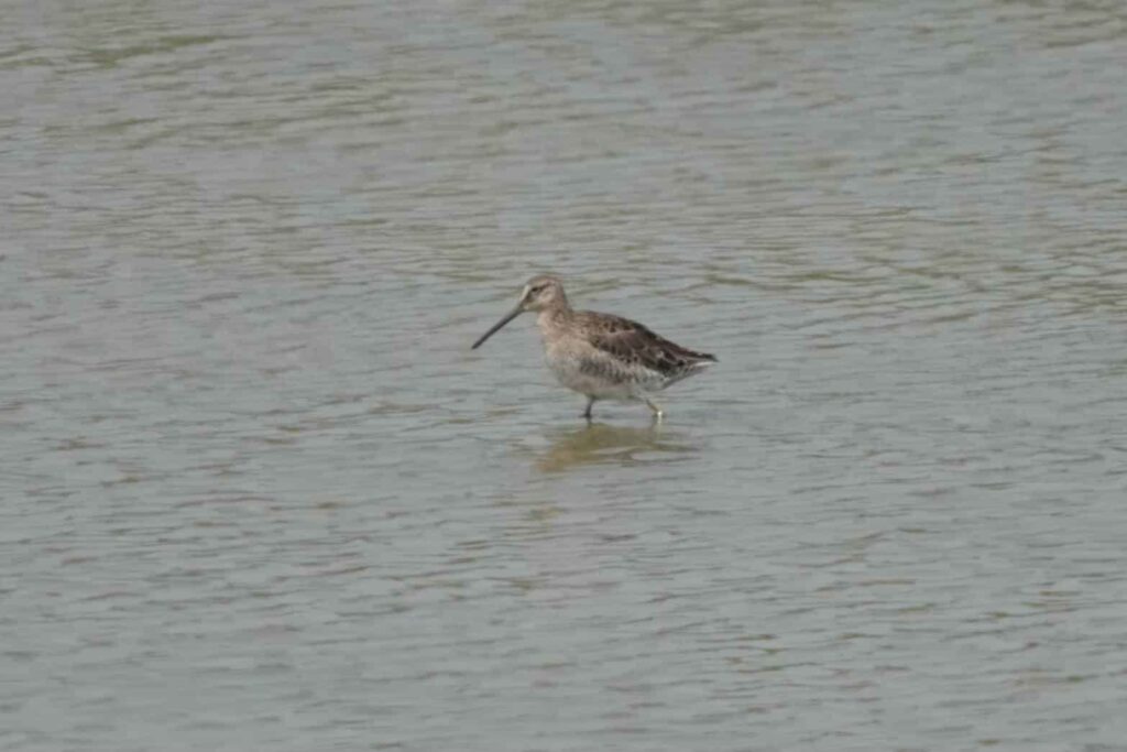 eaf57f09-0609-4850-969a-3db4f3f0c418