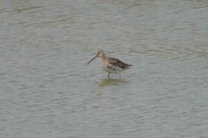 eaf57f09-0609-4850-969a-3db4f3f0c418