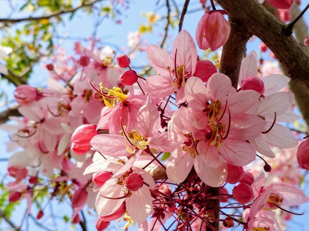 f848d8c6-1f5c-4946-8e14-508e1630e1bc