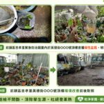 高雄市登革熱病媒蚊指數續攀升拉警報　衛生局查獲民宅頂樓植栽積水養蚊開單重罰