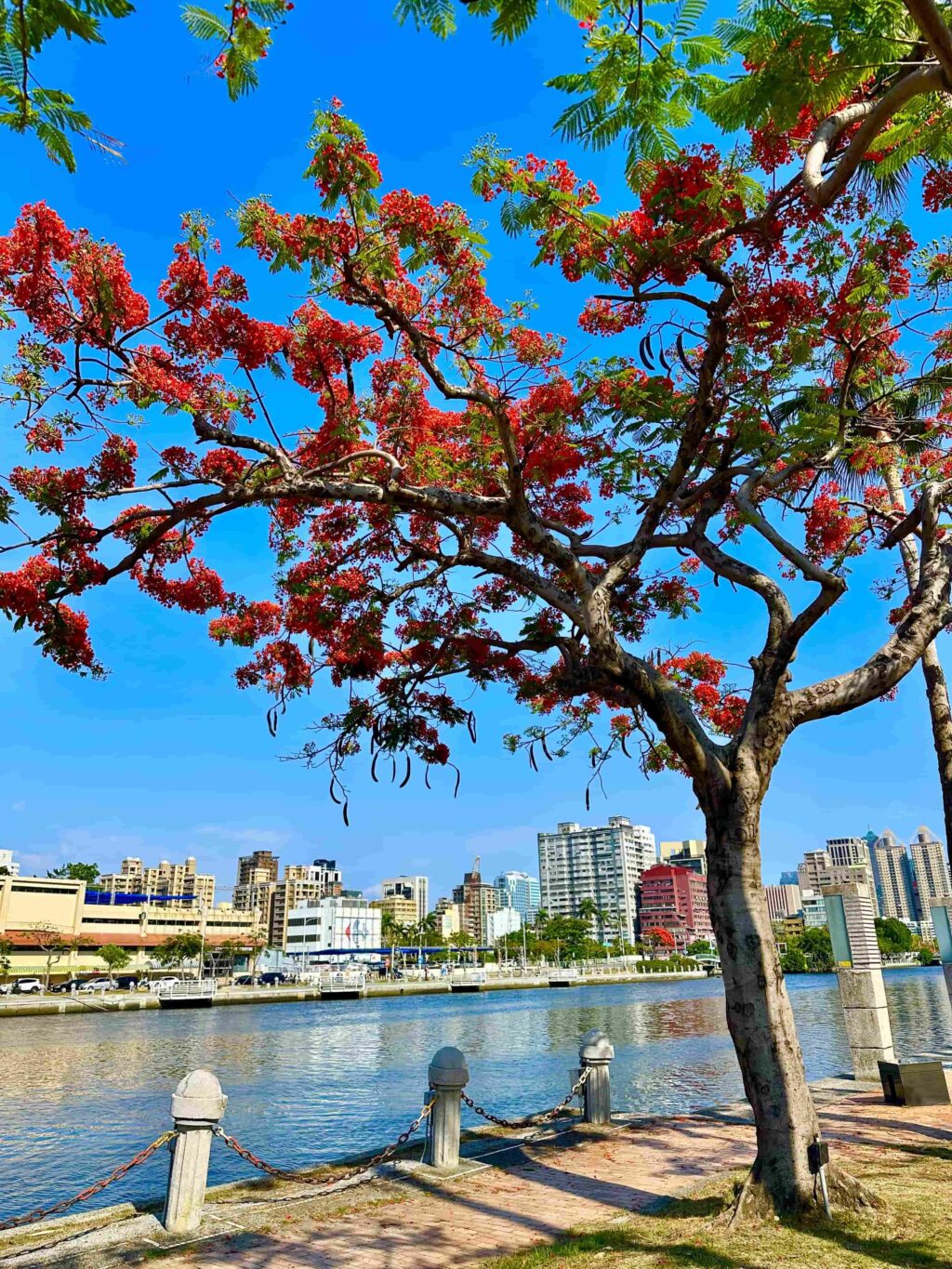 903c4011-f9f6-469e-a241-0835429de2e0
