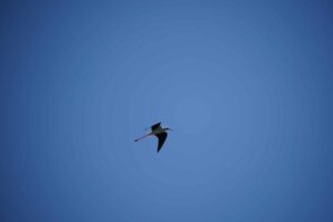 638a7517-7624-47ba-8a87-48e74b786496