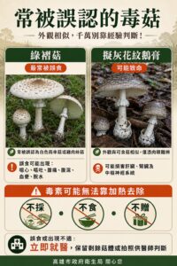 4c6a0f65-acd9-42c4-861b-a59536a6aeab