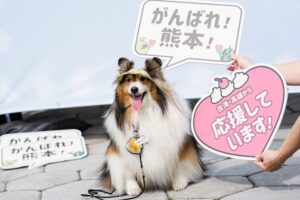 510b789a-2b4e-4bee-a47a-ba51acc8d5ef